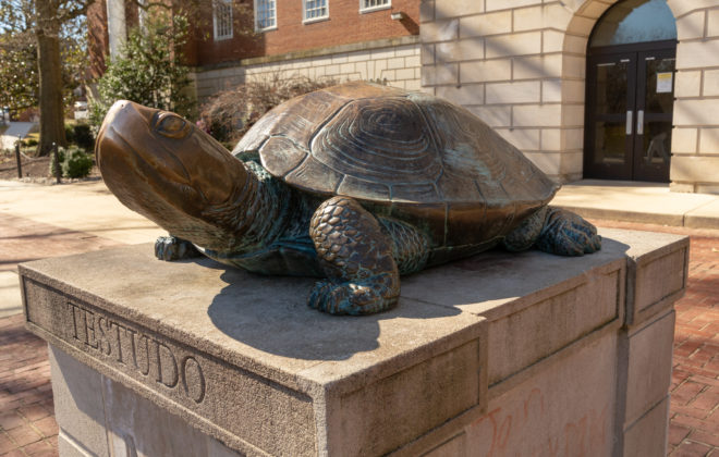 How to Get Into the University of Maryland: Acceptance Rate & Strategies