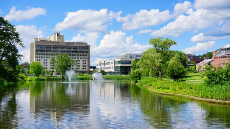 How to Get Into UMass Amherst: Acceptance Rate & Strategies - College