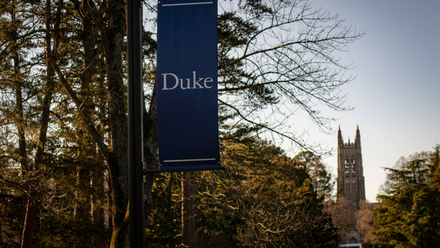 supplemental essays for duke university
