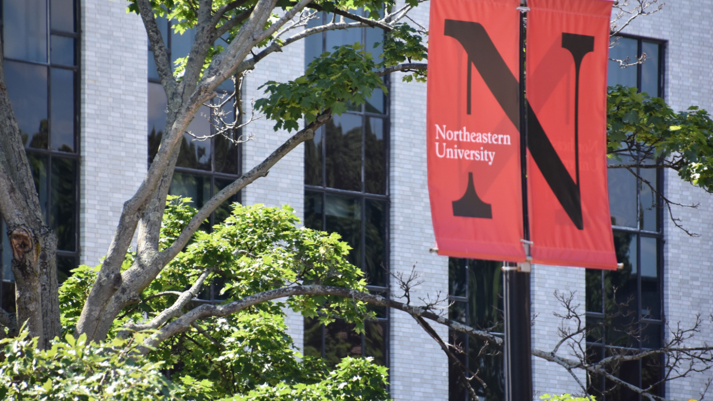 Northeastern Transfer Acceptance Rate and Requirements — 2024
