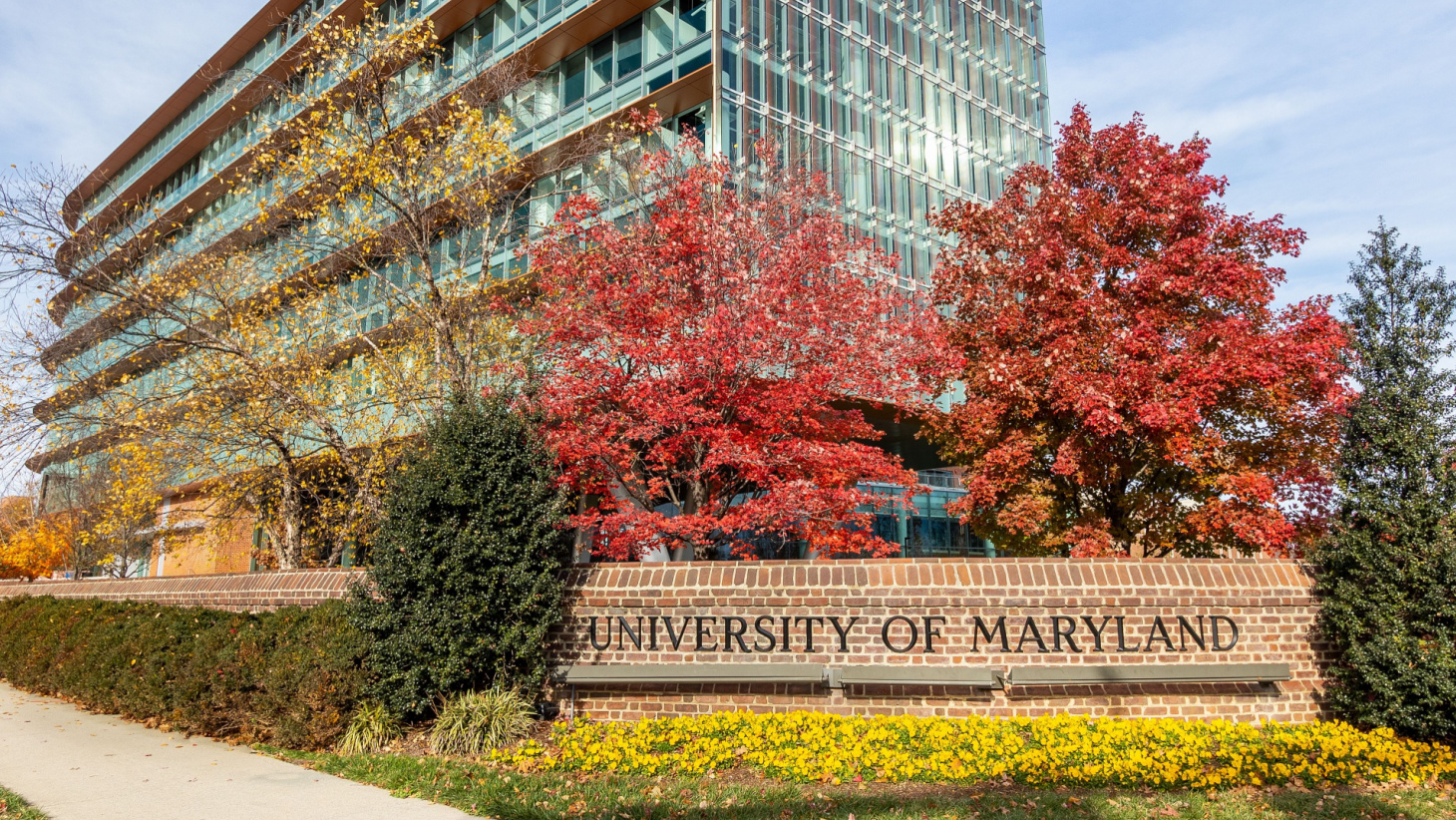 UMD Transfer Acceptance Rate and Requirements — 2024