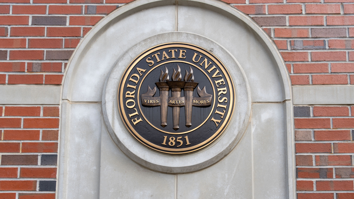 FSU Transfer Acceptance Rate and Requirements — 2024