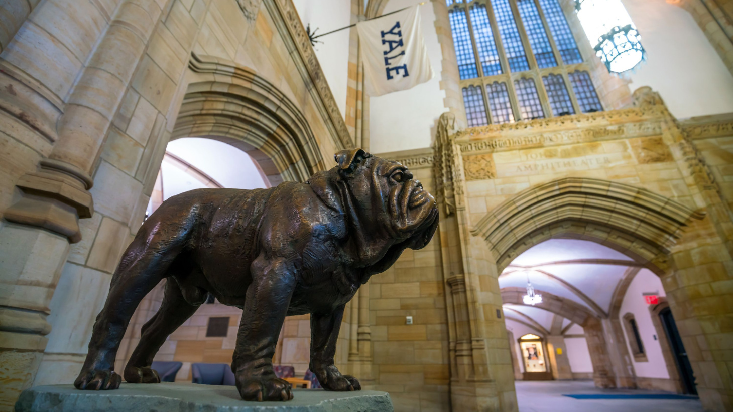 Yale Transfer Acceptance Rate and Requirements — 2024
