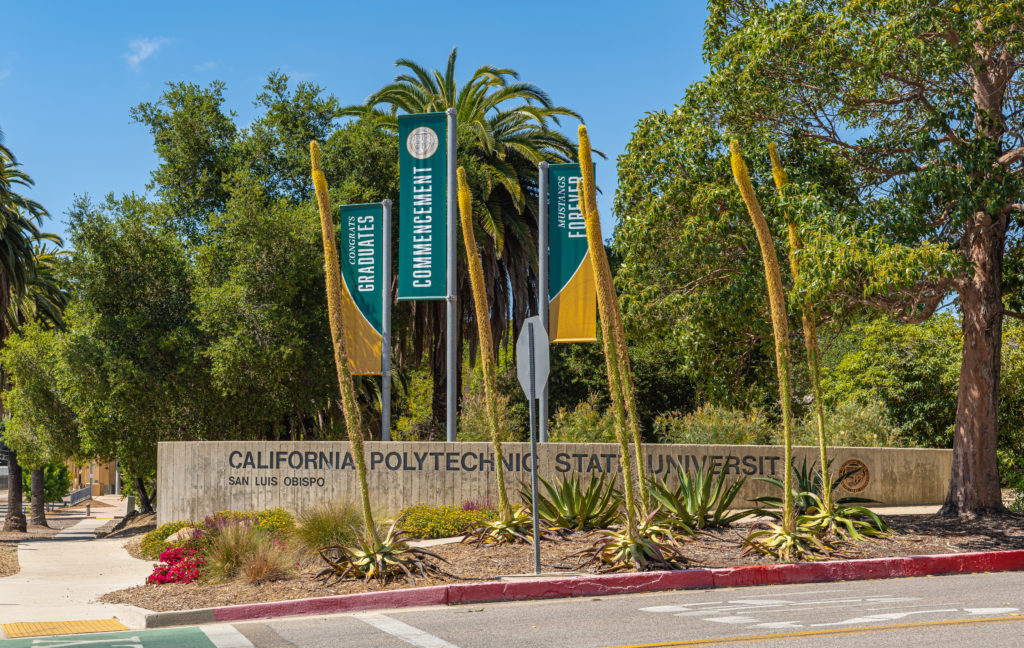 cal poly transfer acceptance rate, Cal Poly SLO