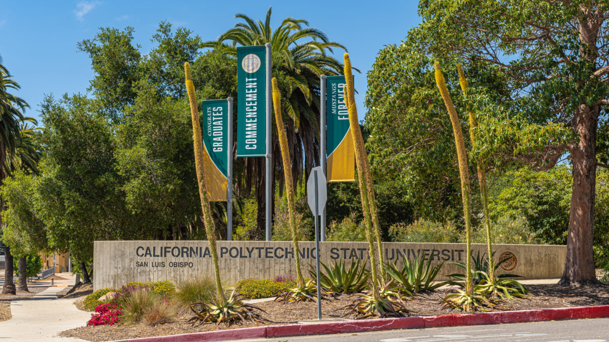 cal poly transfer acceptance rate, Cal Poly SLO