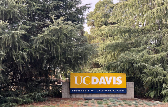 2022-23 UC Davis Transfer Acceptance Rate, Requirements, and Application Deadline