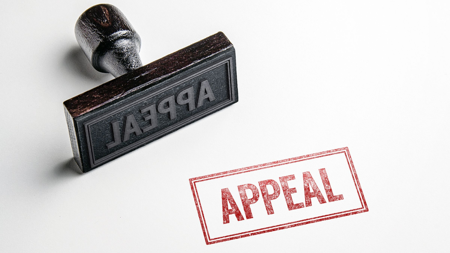 Successful Academic Dismissal Appeal Letter – Sample & Tips