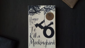 20 Best To Kill a Mockingbird Quotes