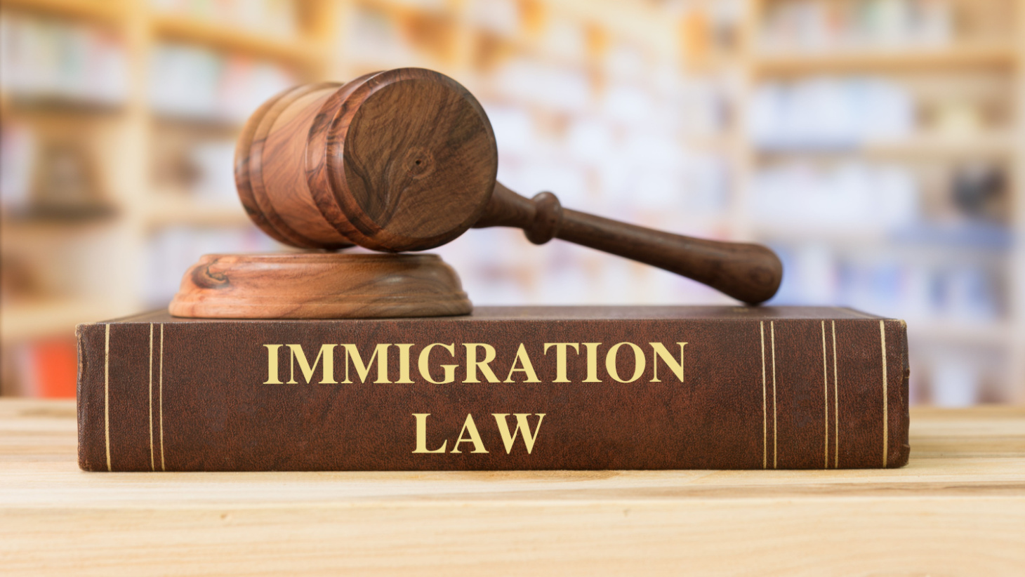 15 Best Immigration Law Schools in 2024