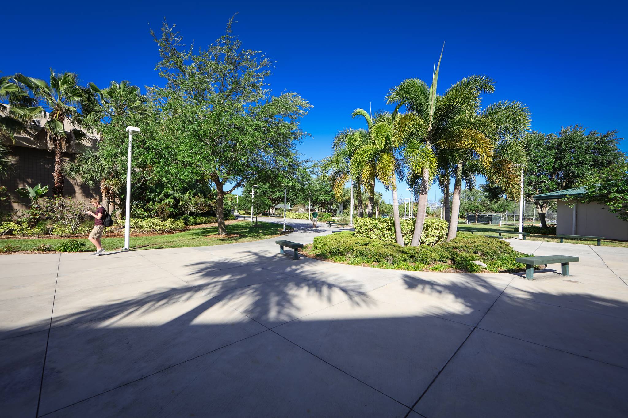 Shorecrest Preparatory School – Tampa