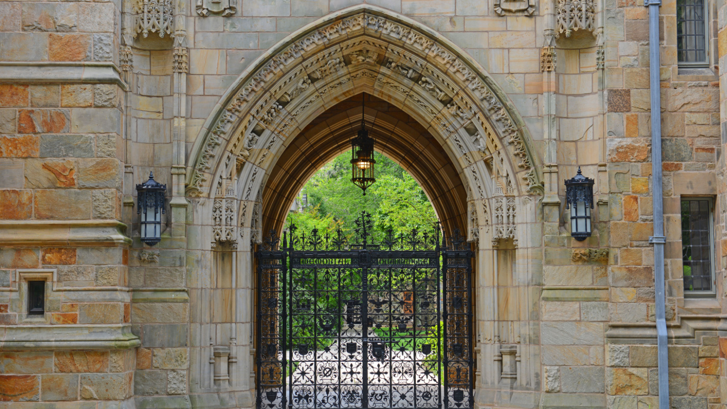 transfer to an ivy league school
