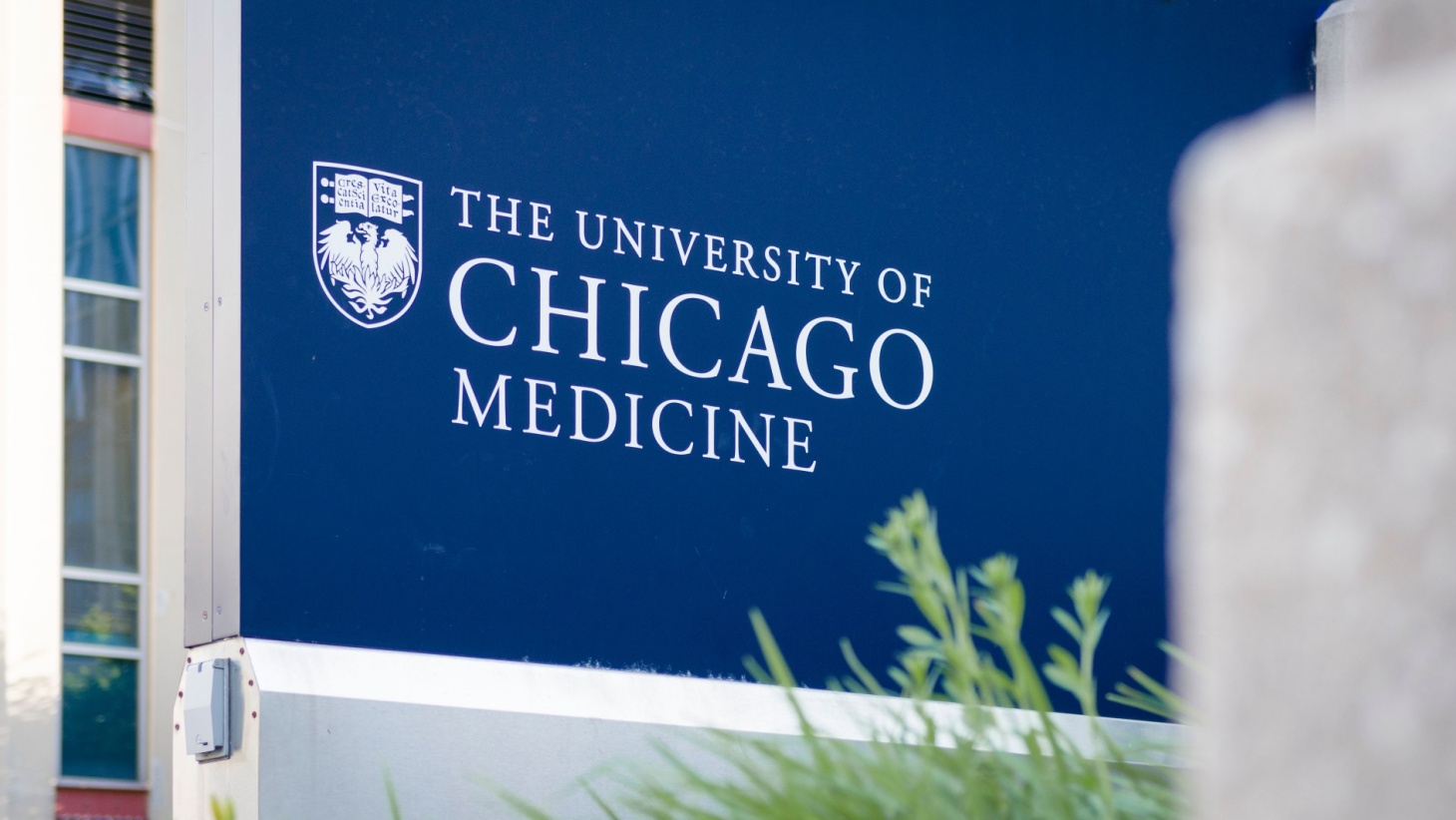 best medical schools in chicago