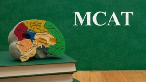 When to Take the MCAT – 2024