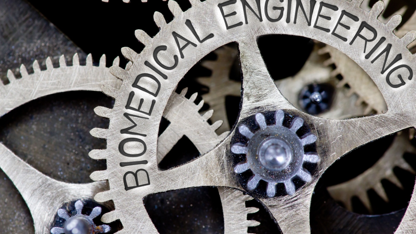 50 Best Colleges for Biomedical Engineering – 2024