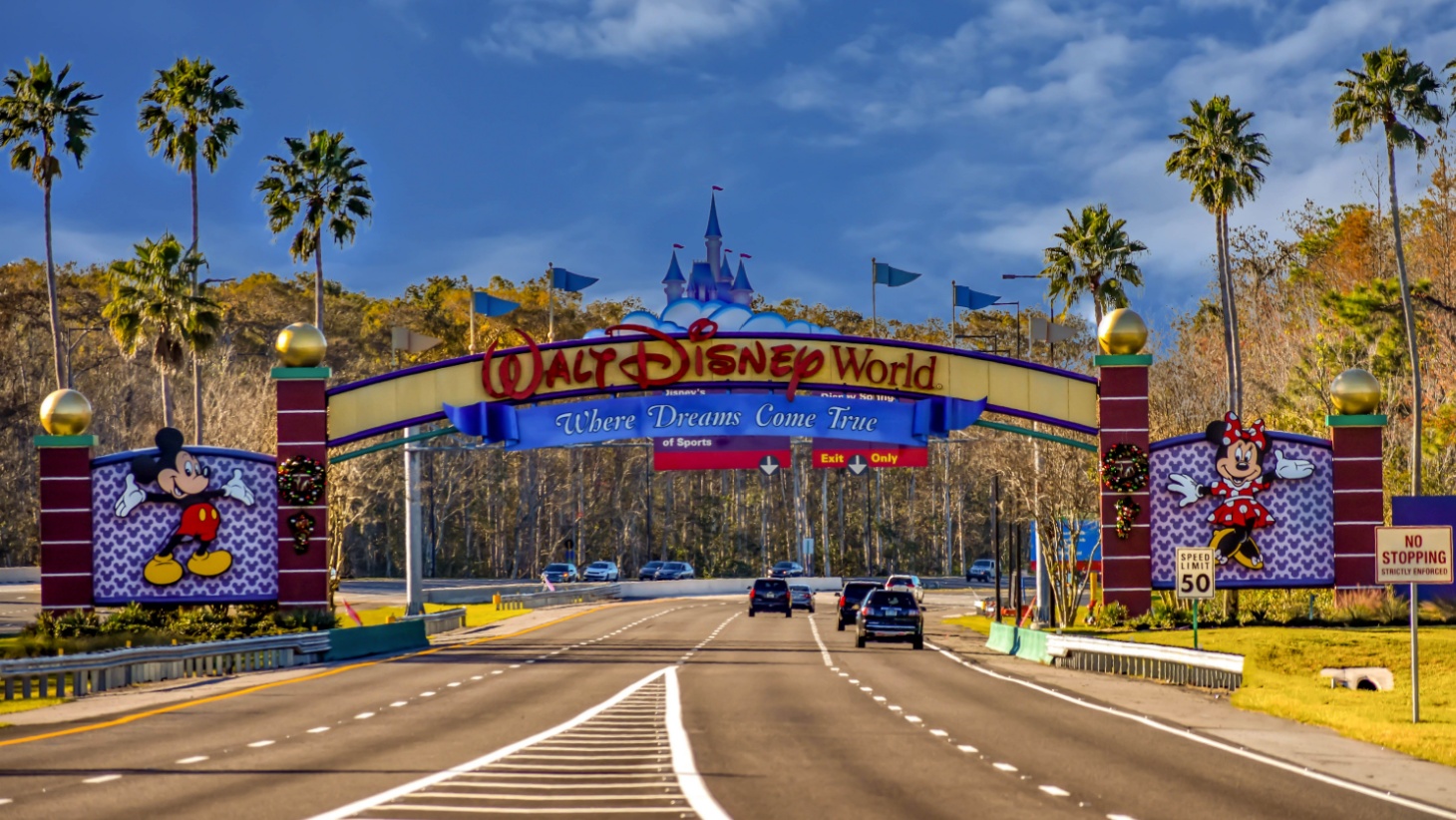 Disney College Program Acceptance Rate and Application Requirements