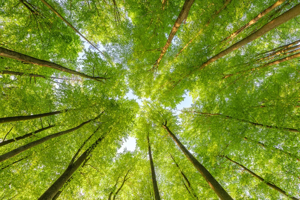 College Transitions Program Slider Image